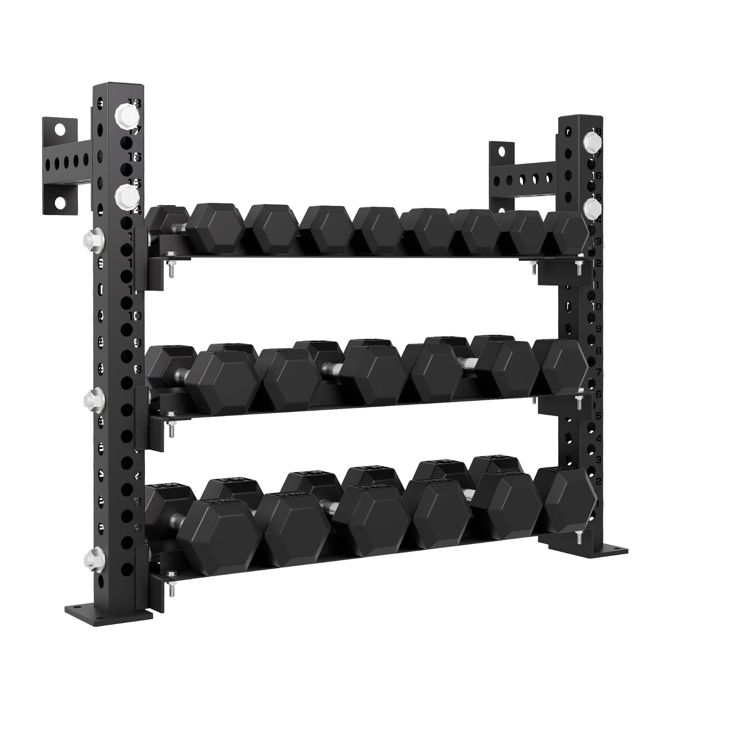 Pro Dumbbell Storage Rack