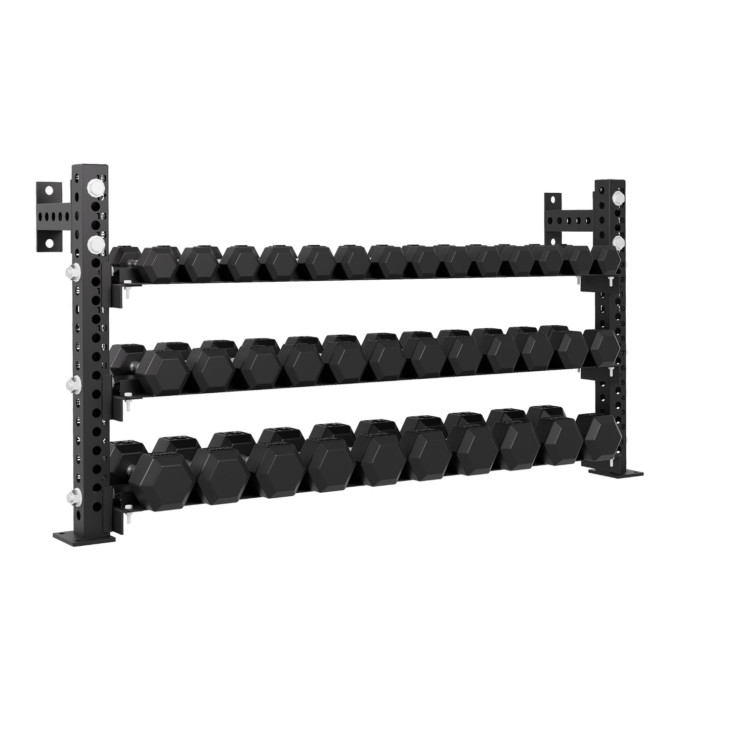 Pro Dumbbell Storage Rack