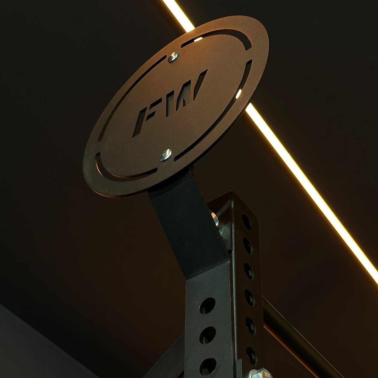 Single Wall Ball Target