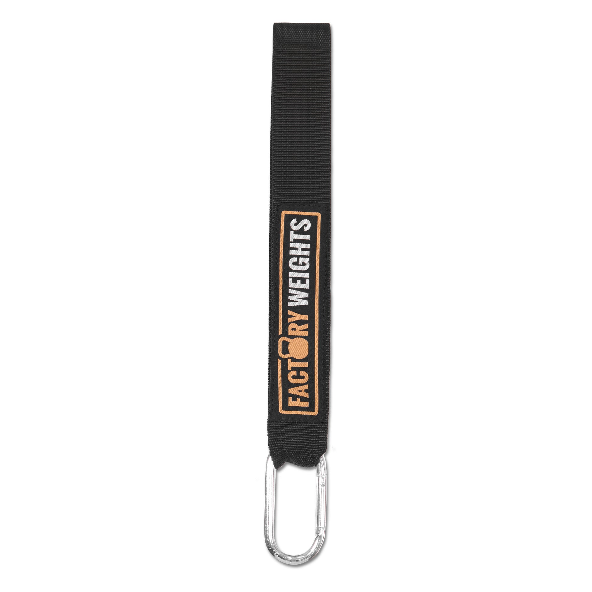 Strap and Carabiner 