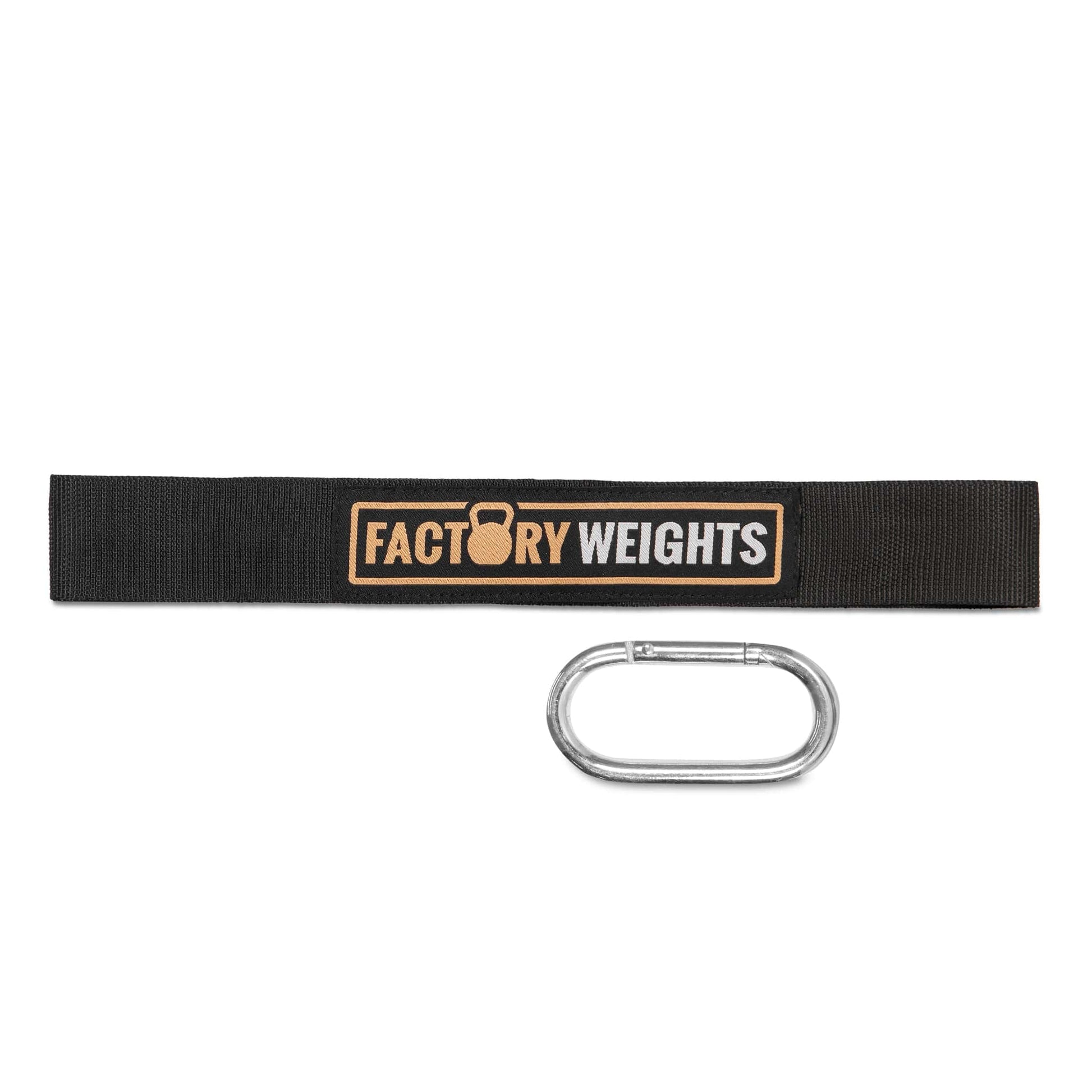 Strap and Carabiner 