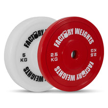 Technique Bumper Plates (Pair) 