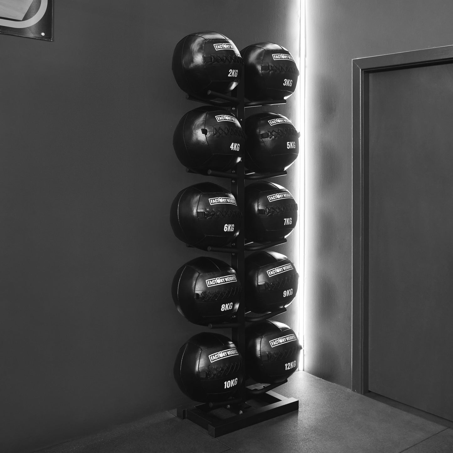 Medicine Wall Ball