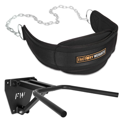 Wall Mounted Folding Dip Bar