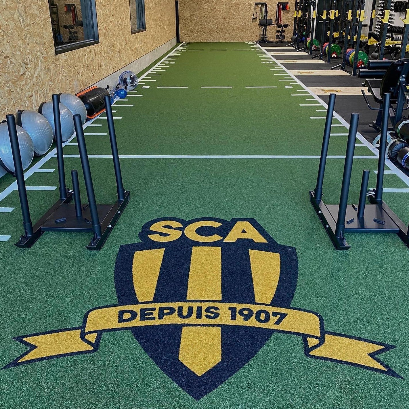 Custom Sled Sprint Track