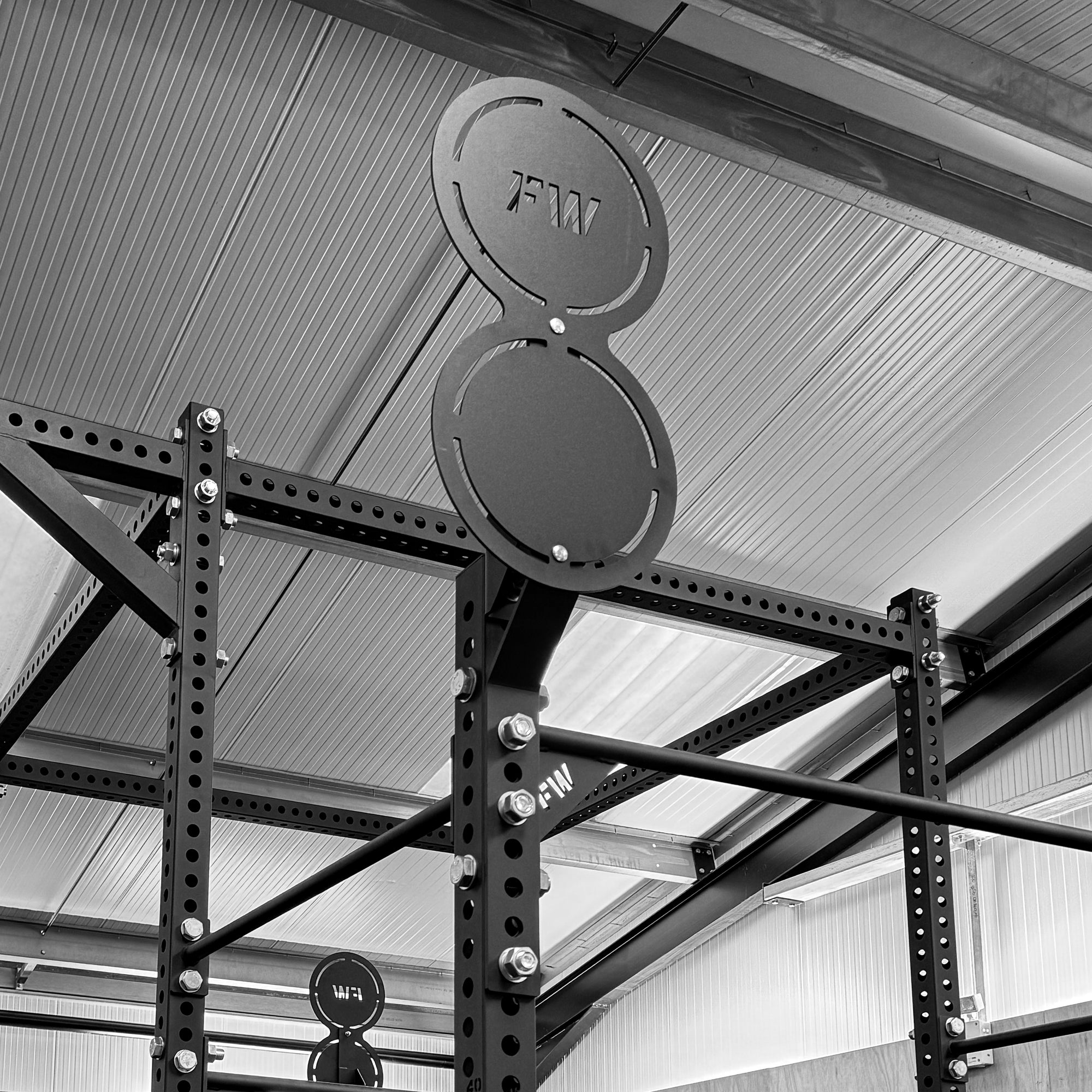 Double Wall Ball Target - Crossfit & HIIT | Factory Weights