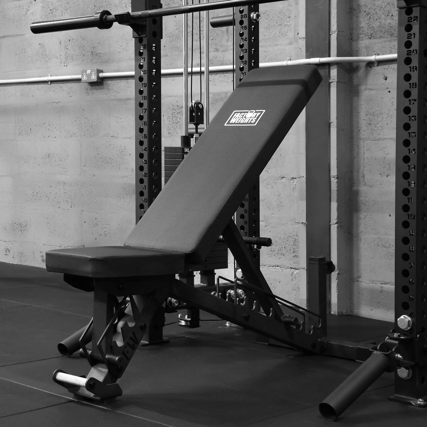 Elite Adjustable Bench