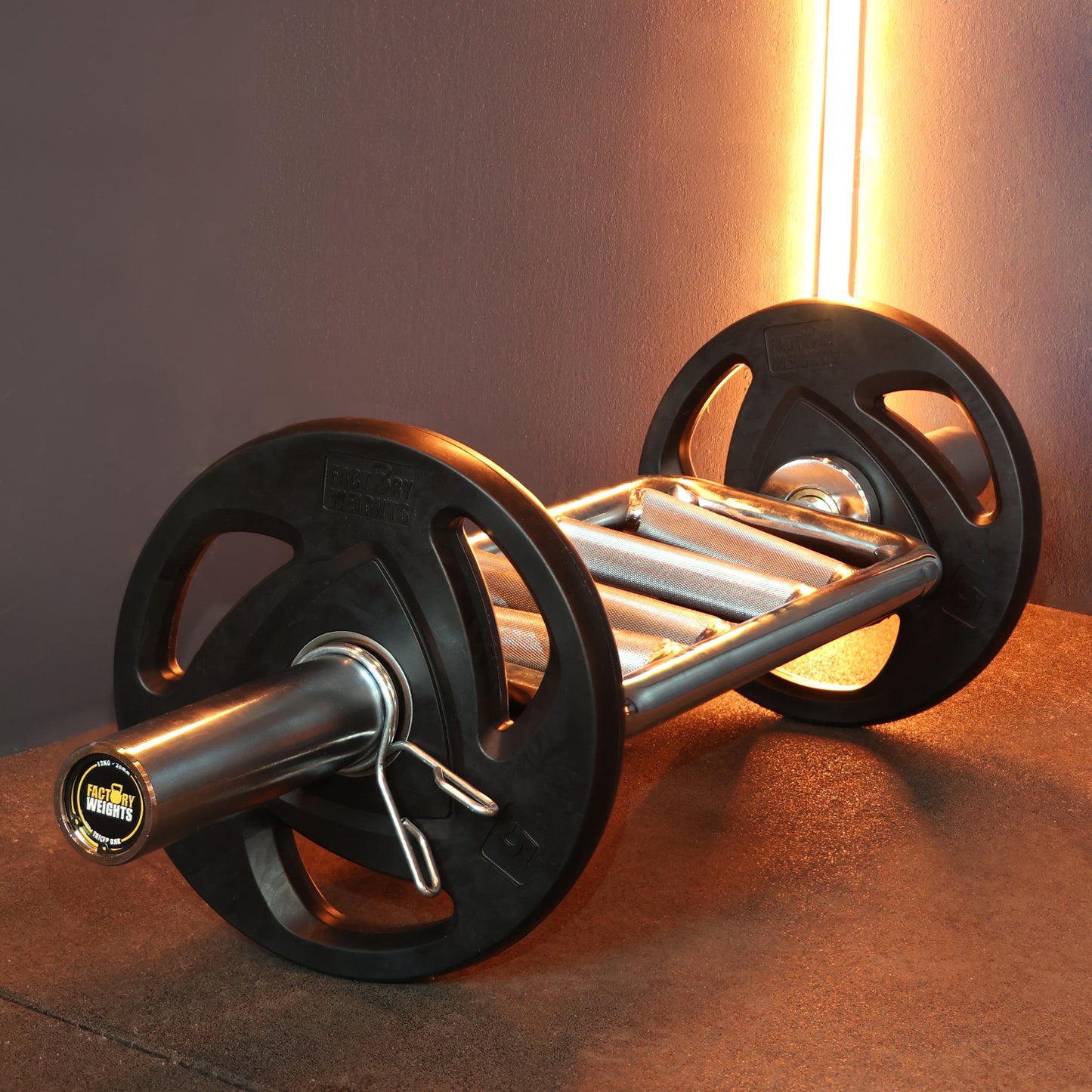 2" Olympic Tricep Bar