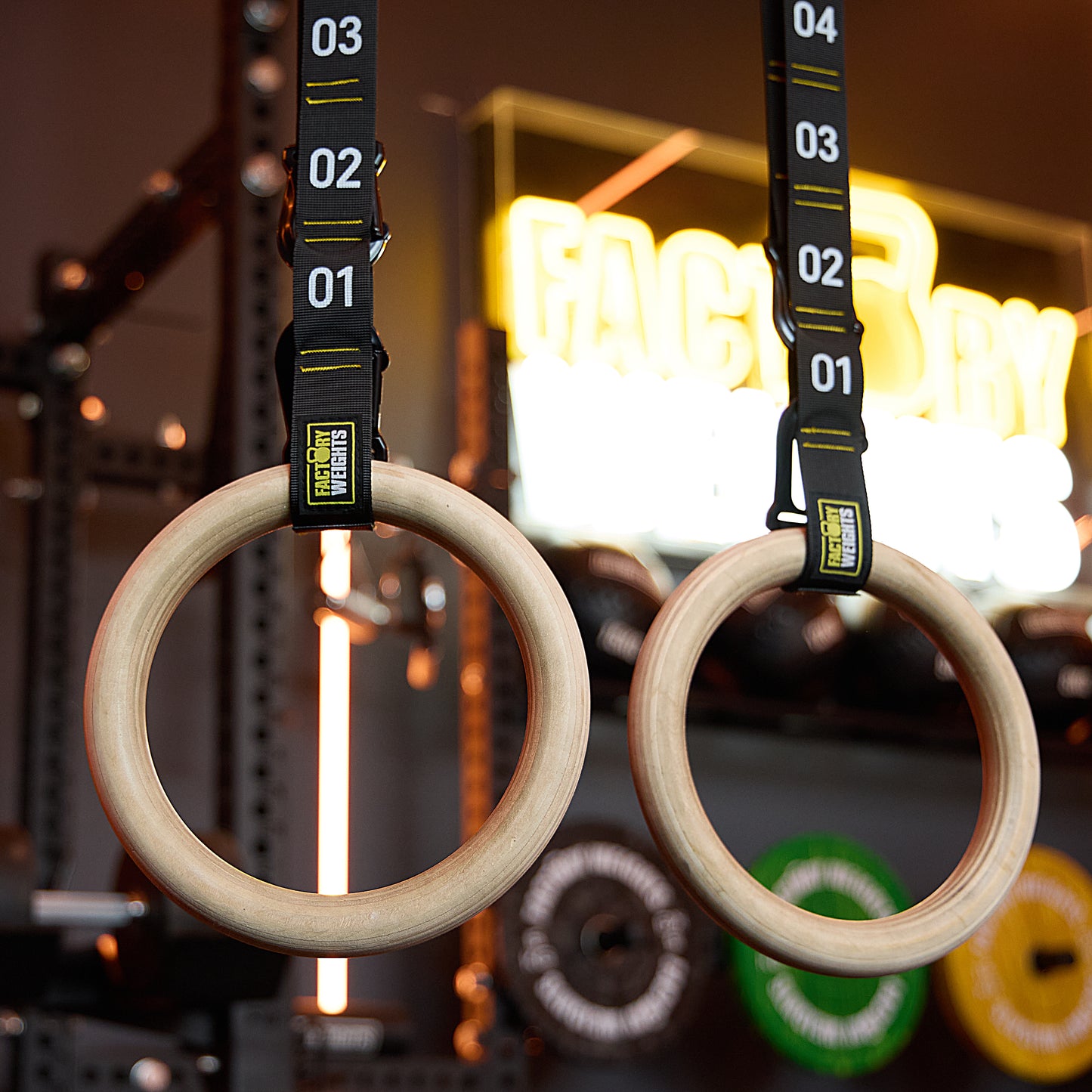 Wooden Gymnastic Rings With Quick-Adjust Straps
