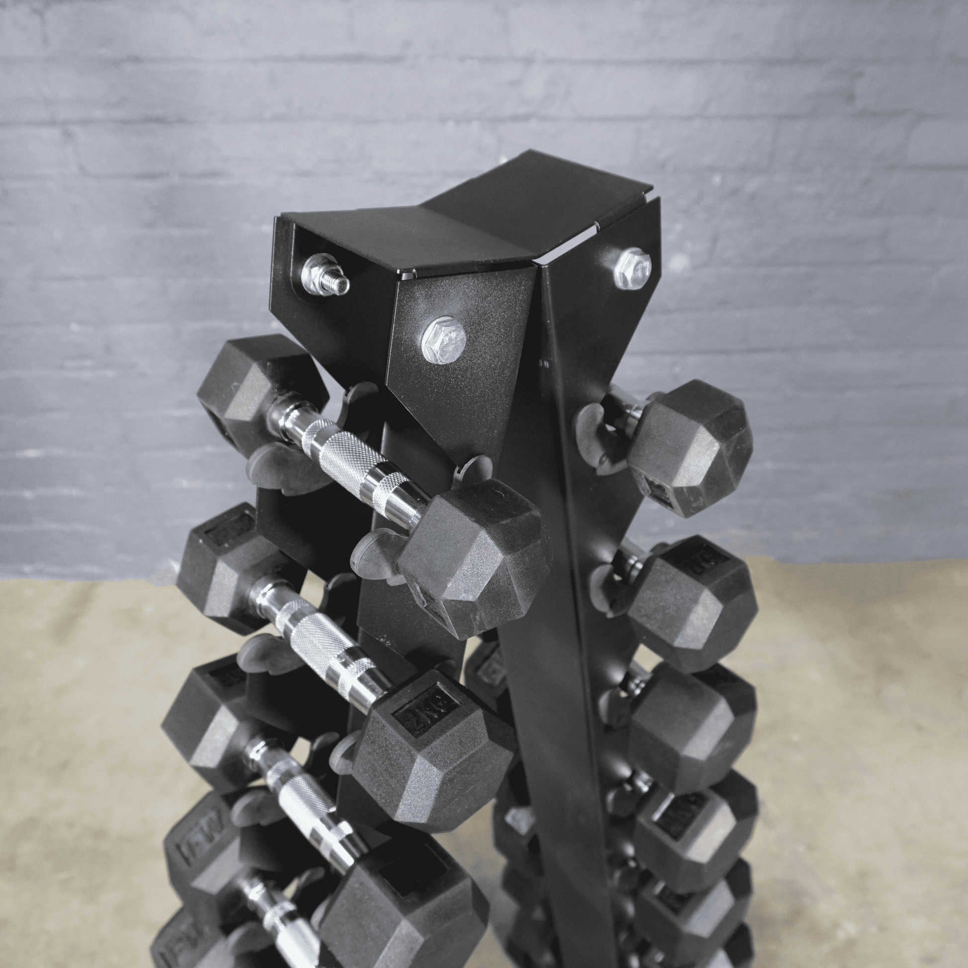 Vertical Dumbbell Storage Rack Tree Stand 