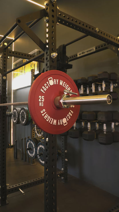 Factory Weights Calibrated Plates V2 (Pair)