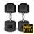 Scrap Yard Rubber Hex Dumbbells Pair Grade A